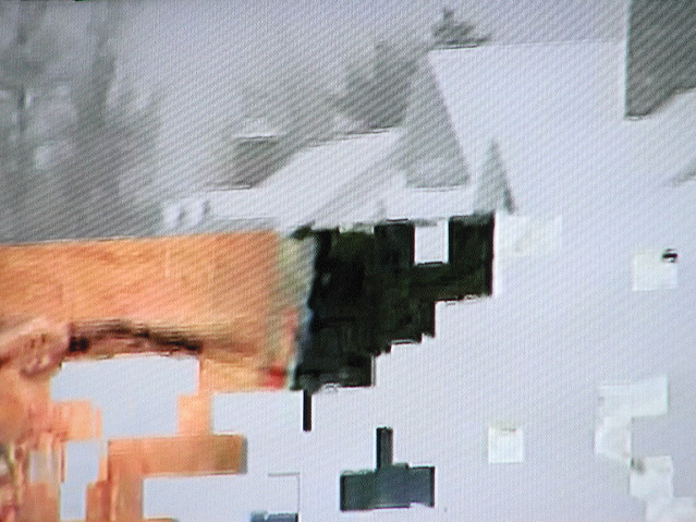 01778_.jpg